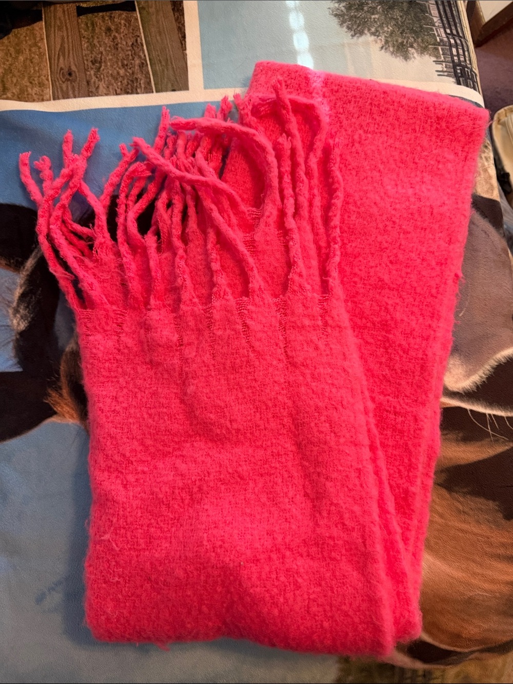 Aerie Hot Pink Blanket Scarf with Tassels